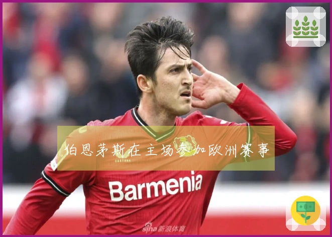 伯恩茅斯在主场参加欧洲赛事